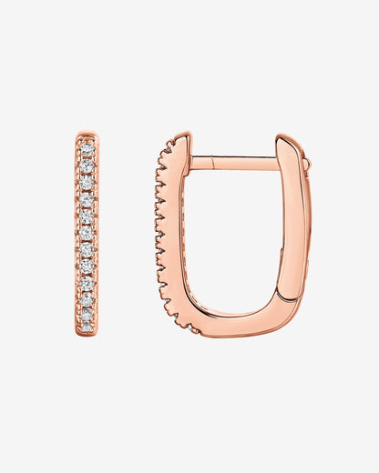 Arlo Hoops
