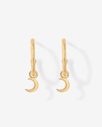 Drop Moon Hoops