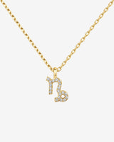 Capricorn