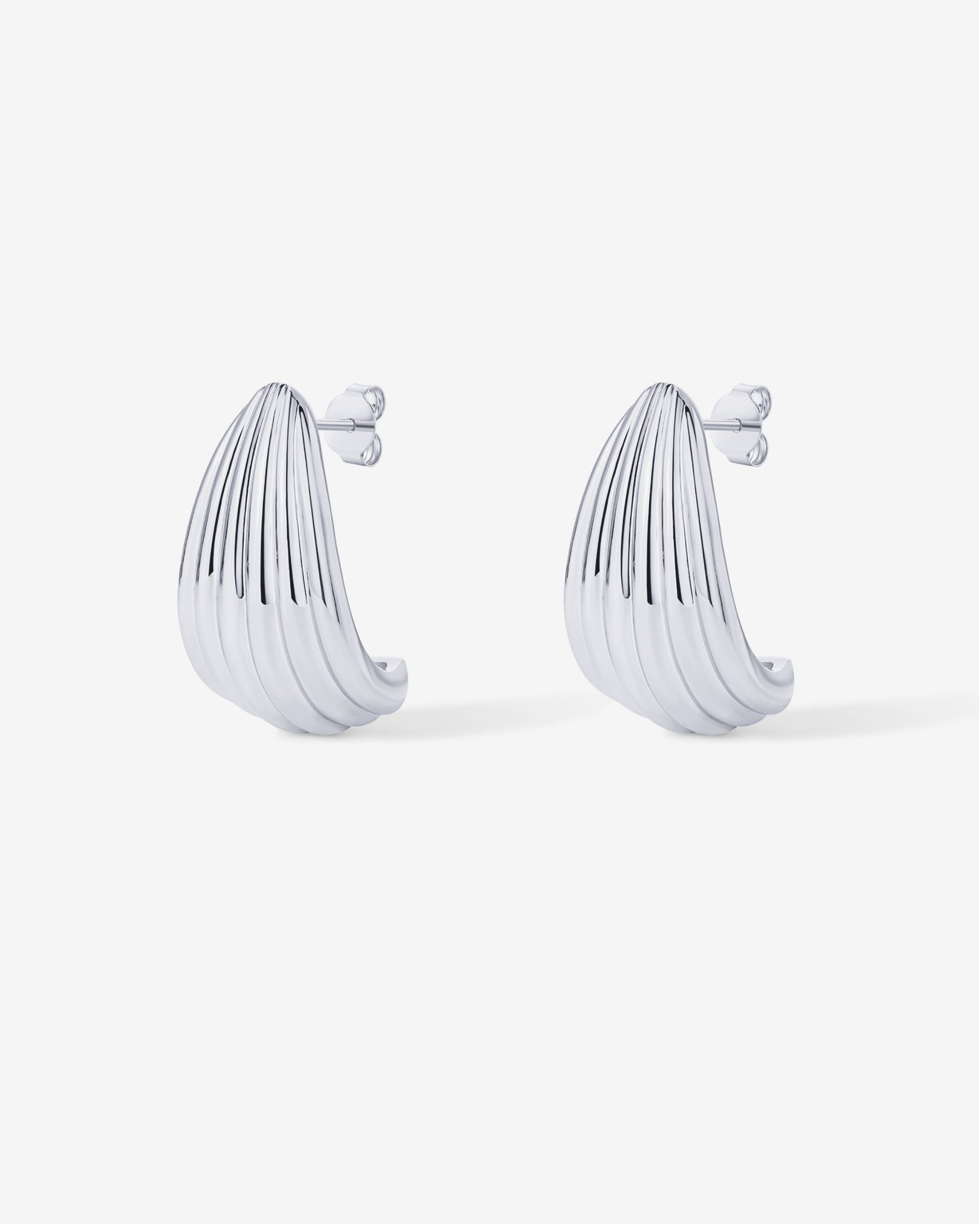 Seashell Stud Earrings