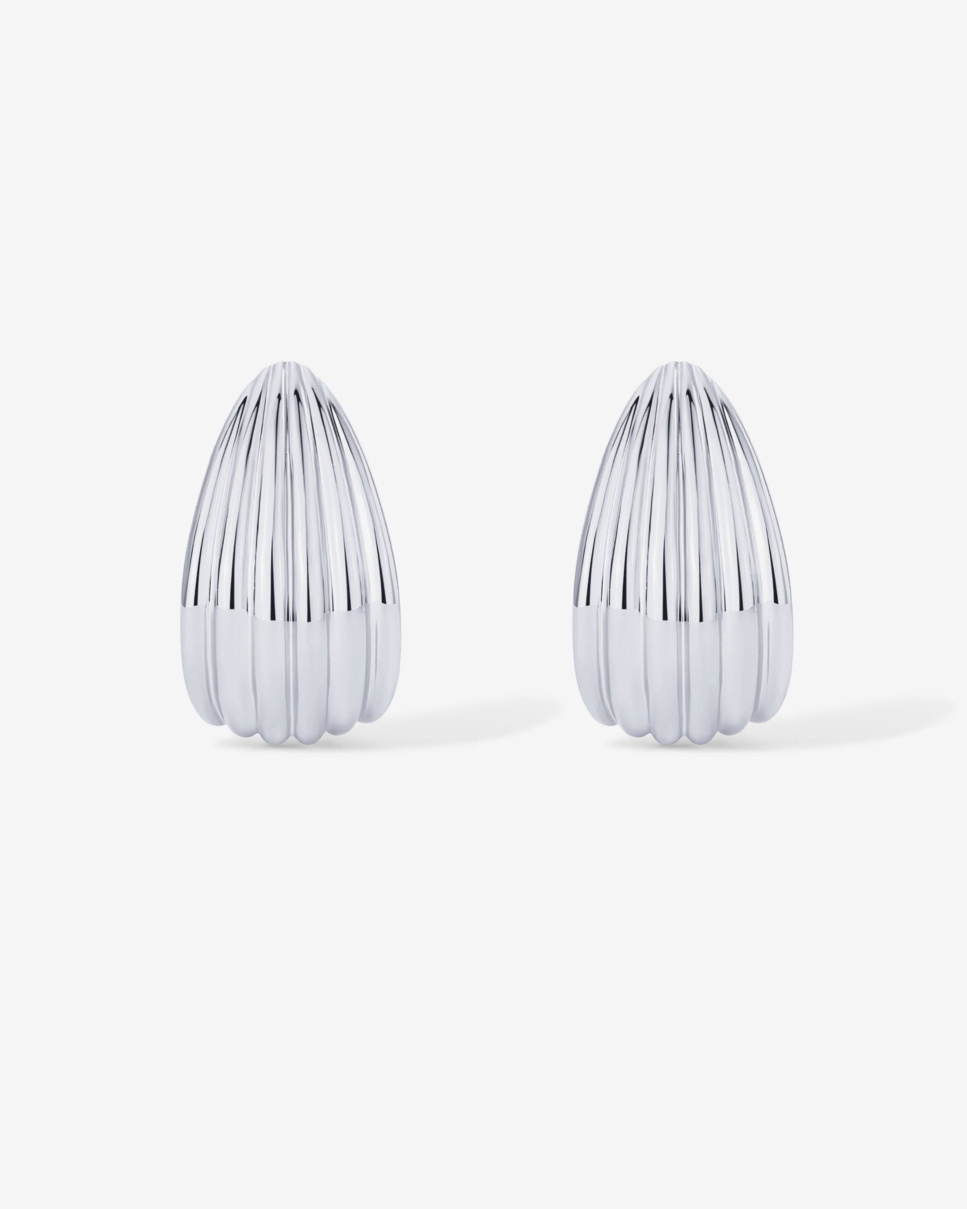 Seashell Stud Earrings