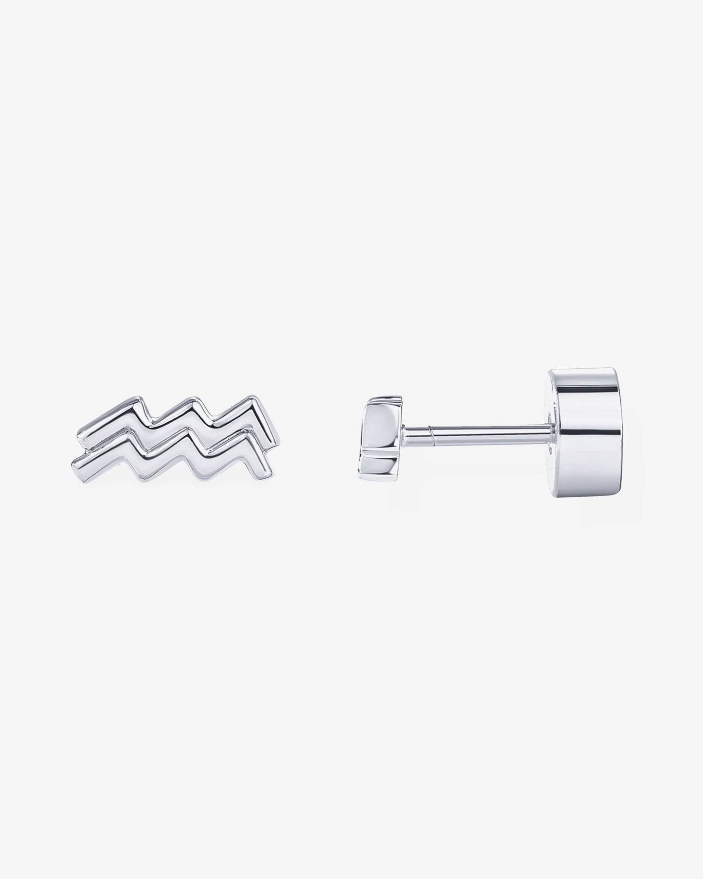 What's Your Sign Horoscope Earrings
