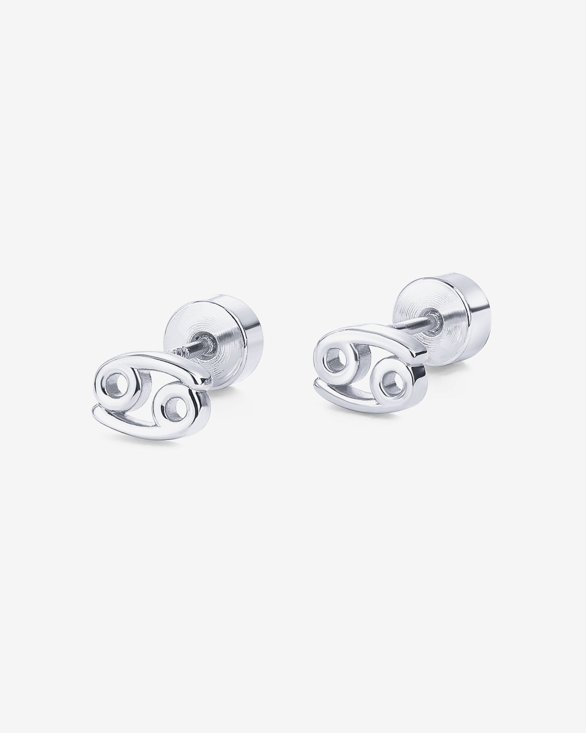 What's Your Sign Horoscope Earrings