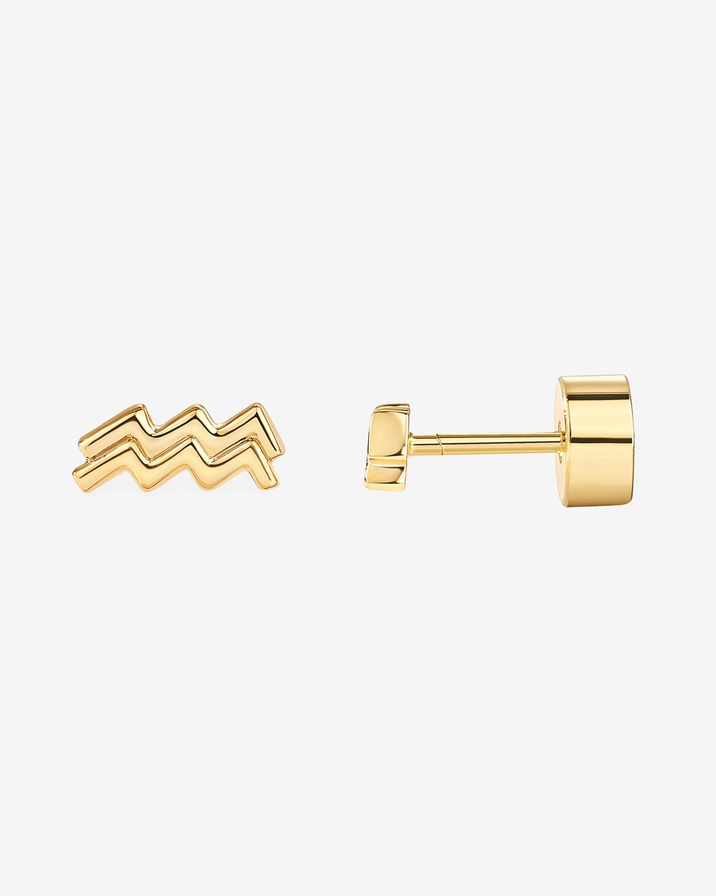 What's Your Sign Horoscope Earrings