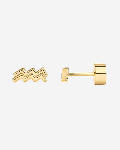 What's Your Sign Horoscope Earrings