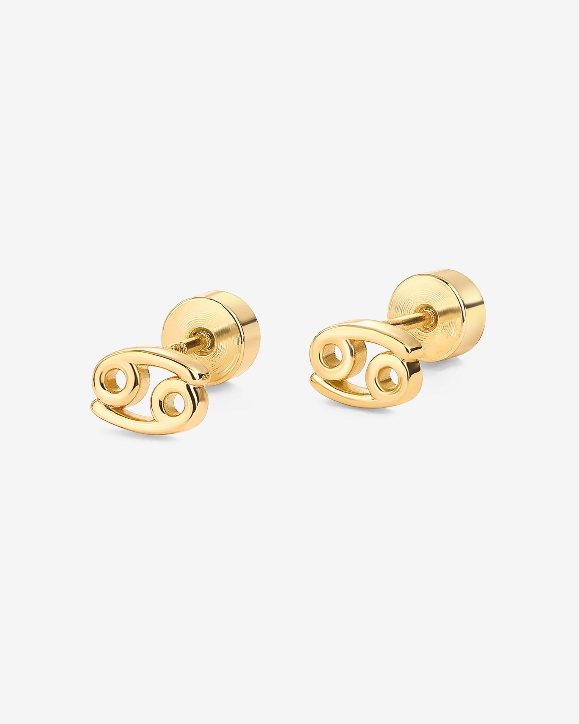What's Your Sign Horoscope Earrings